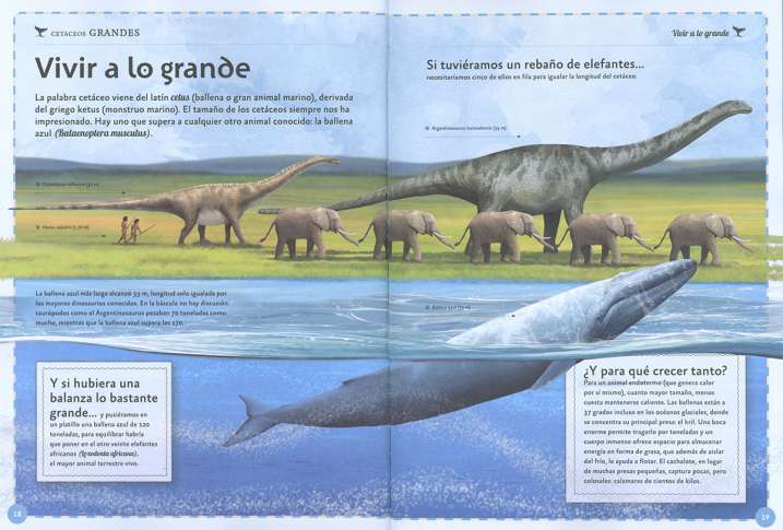 El magnífico libro de las...