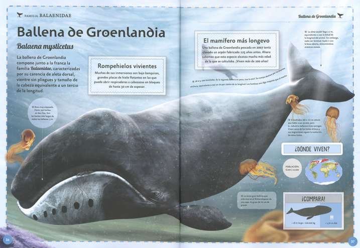 El magnífico libro de las...