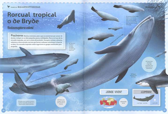 El magnífico libro de las...