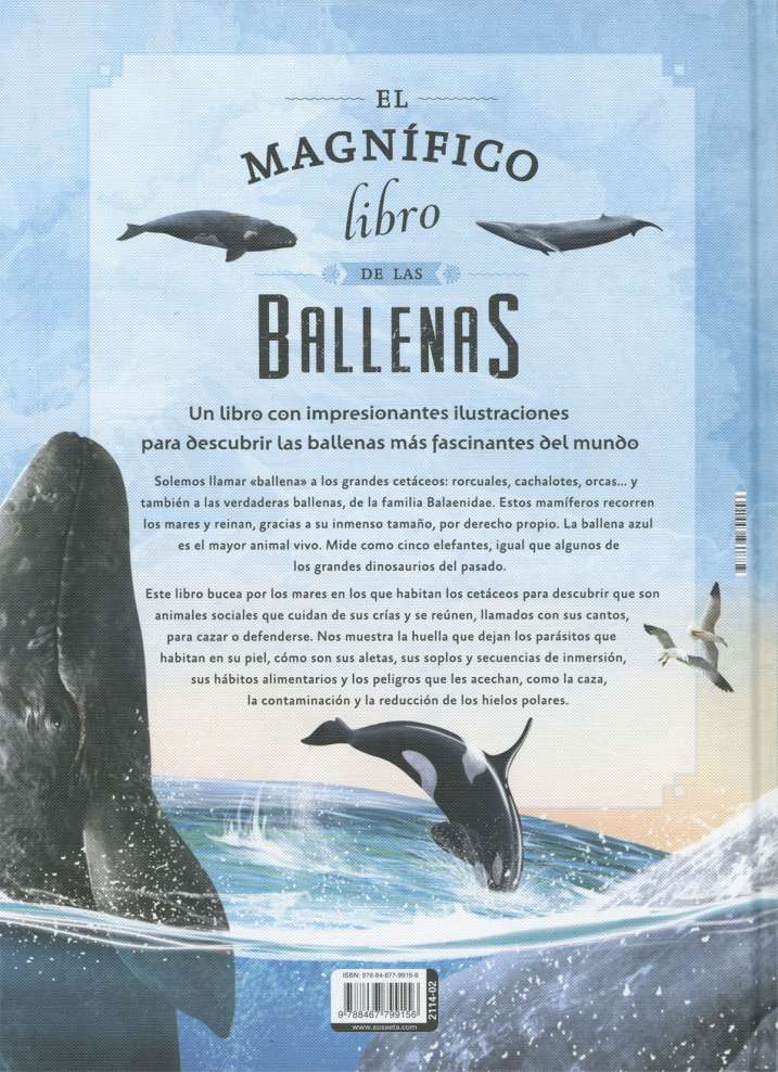 El magnífico libro de las...