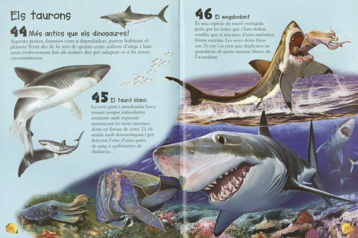 101 coses que hauries de...