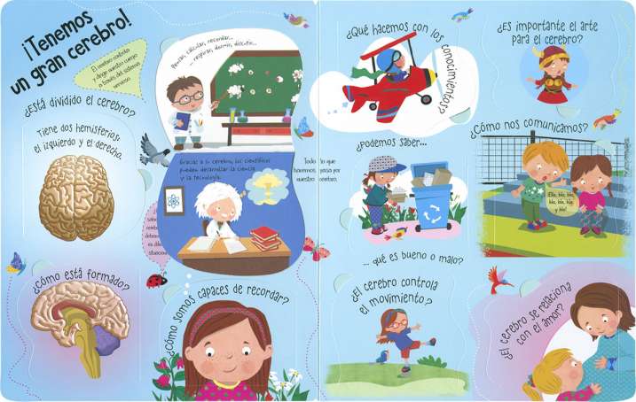 El cuerpo humano. Preguntas...