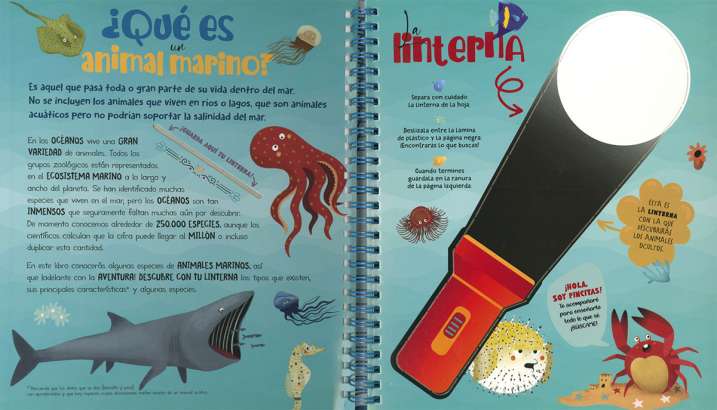 Busca con la linterna...