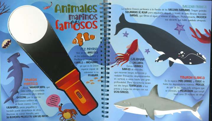 Busca con la linterna...