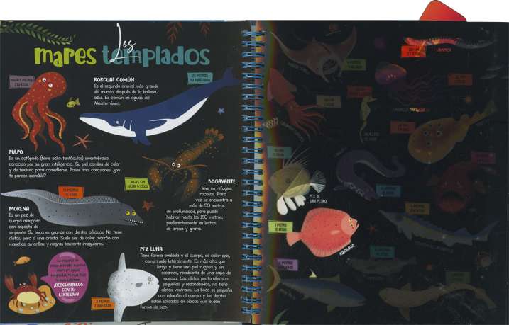 Busca con la linterna...