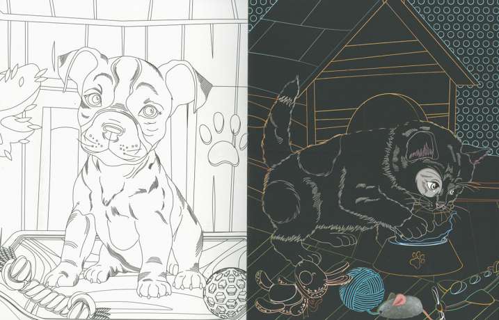 Mascotas. Dibujos para...