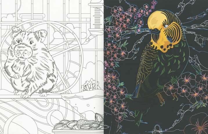 Mascotas. Dibujos para...