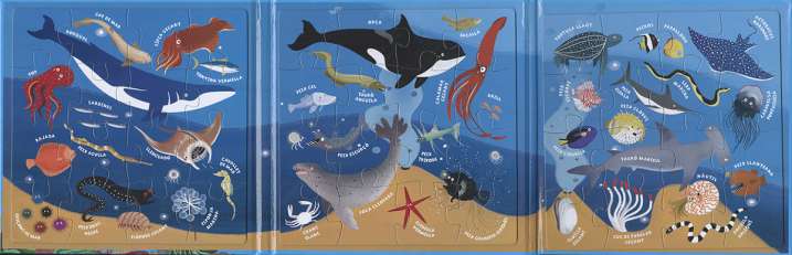 Llibre puzle magnètic...