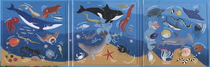 Puzzle magnetikoen liburua...