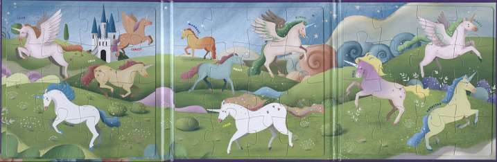 Puzzle magnetikoen liburua...