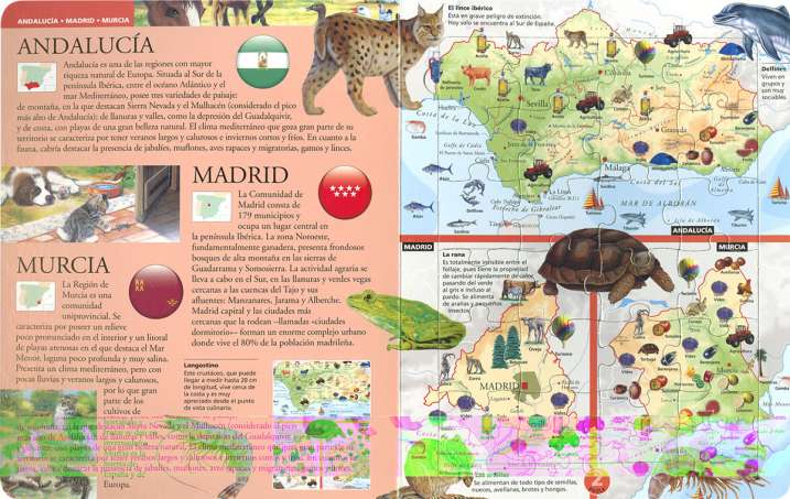 Atlas puzle de España