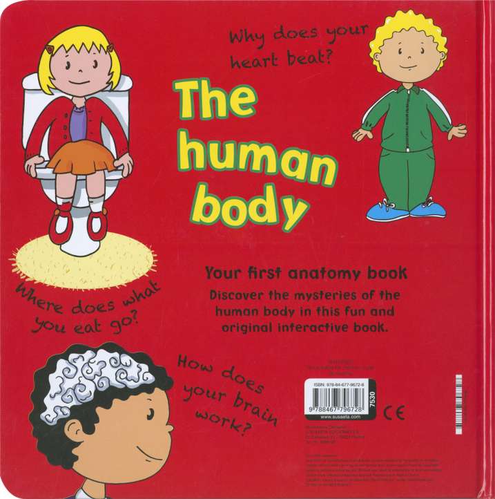 The human body