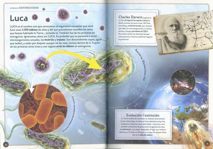 El magnífico libro de los...