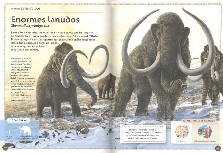 El magnífico libro de los...