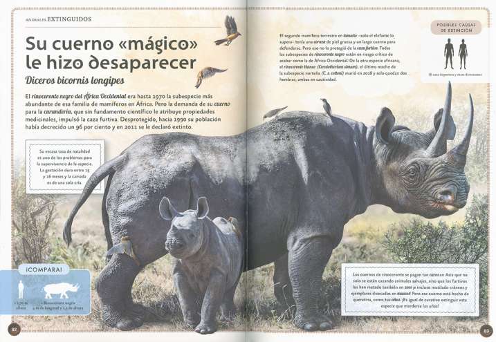 El magnífico libro de los...