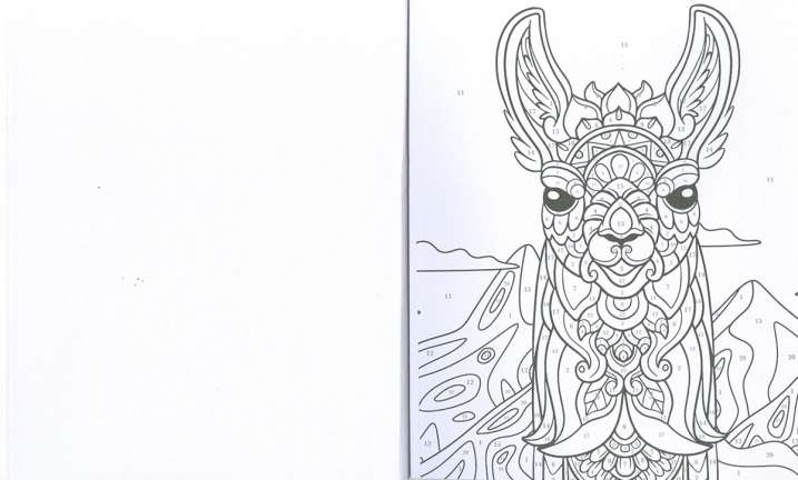 Animales, colorea por números