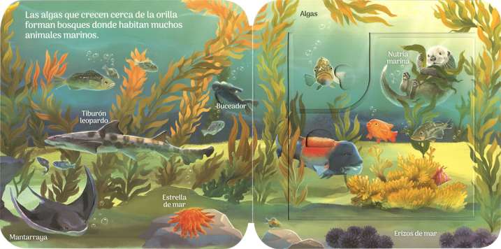 Animales del océano