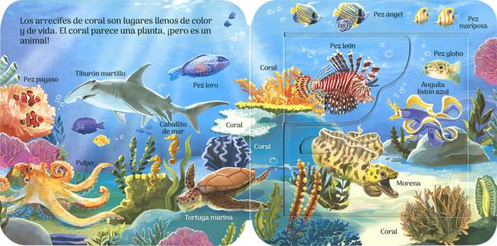 Animales del océano