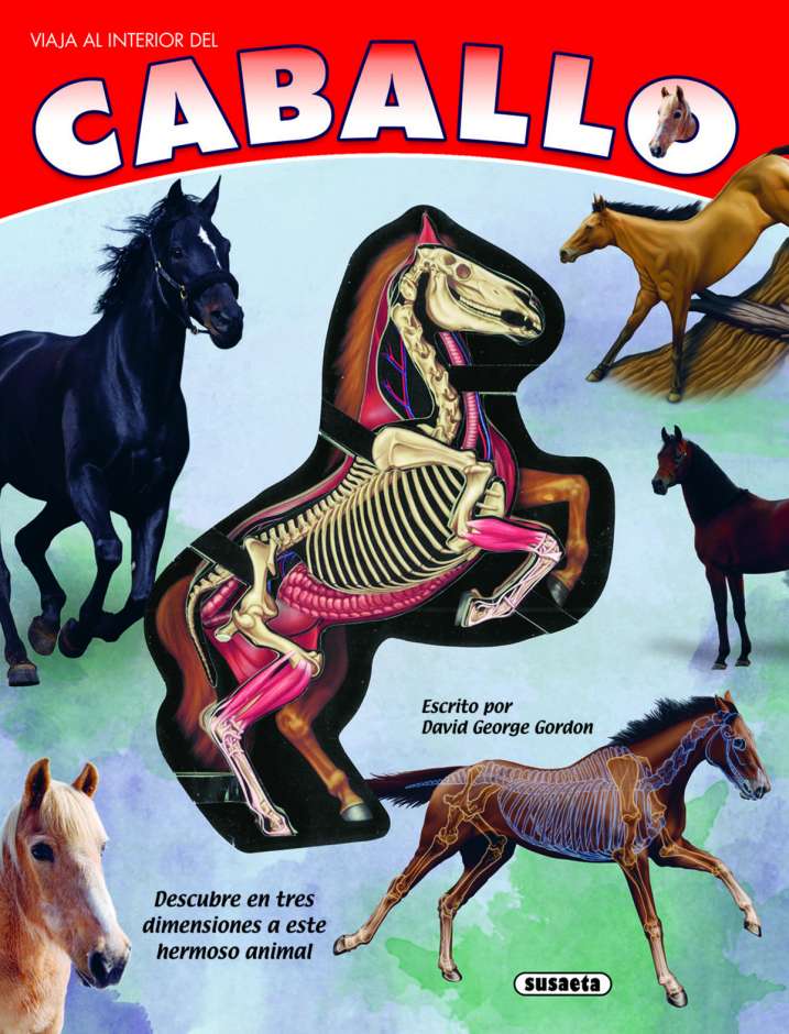 El caballo