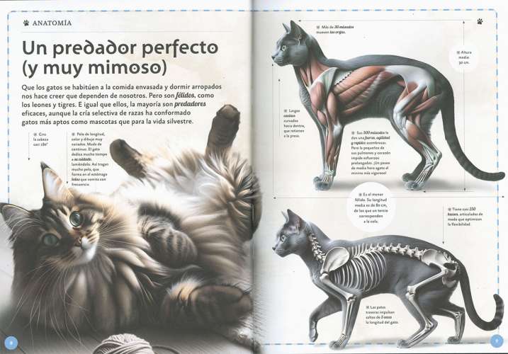 El magnífico libro de los...