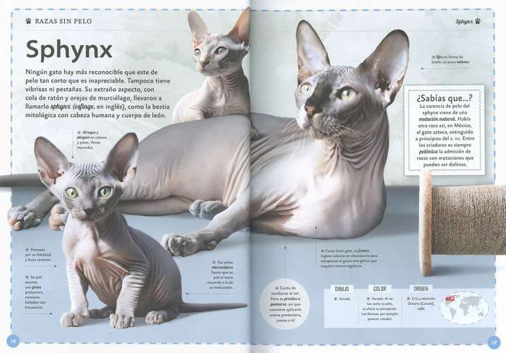 El magnífico libro de los...