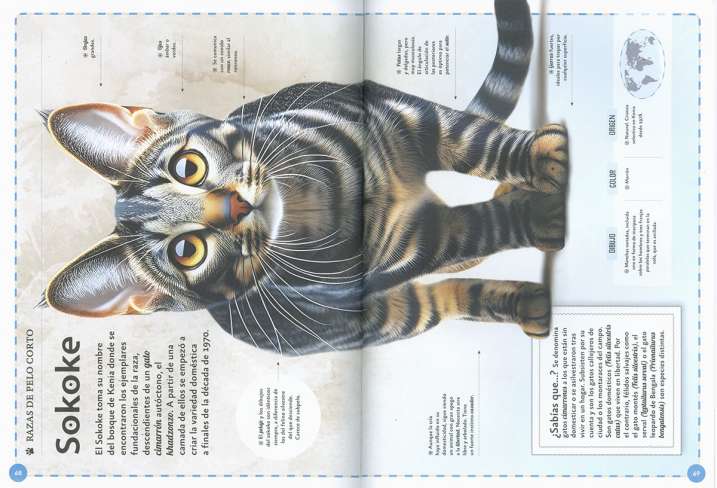 El magnífico libro de los...