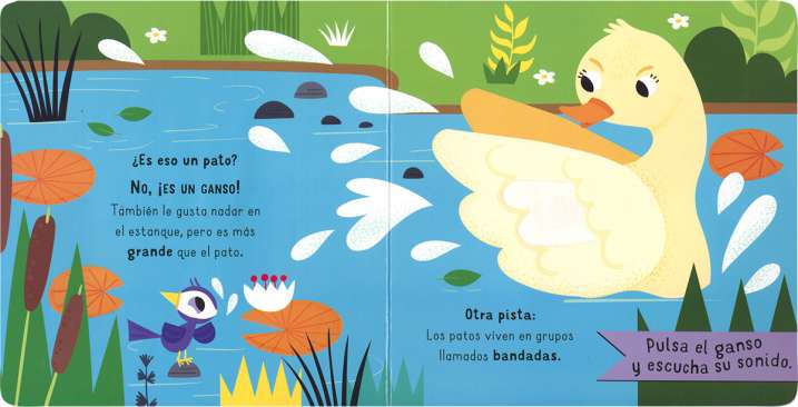 ¿Has visto un pato?