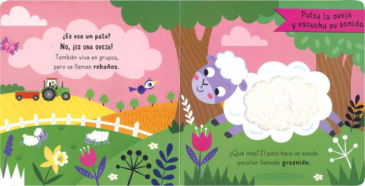 ¿Has visto un pato?