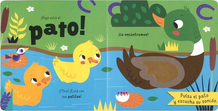 ¿Has visto un pato?