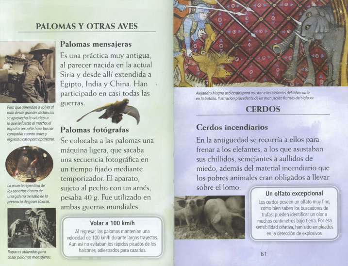 Animales en la guerra