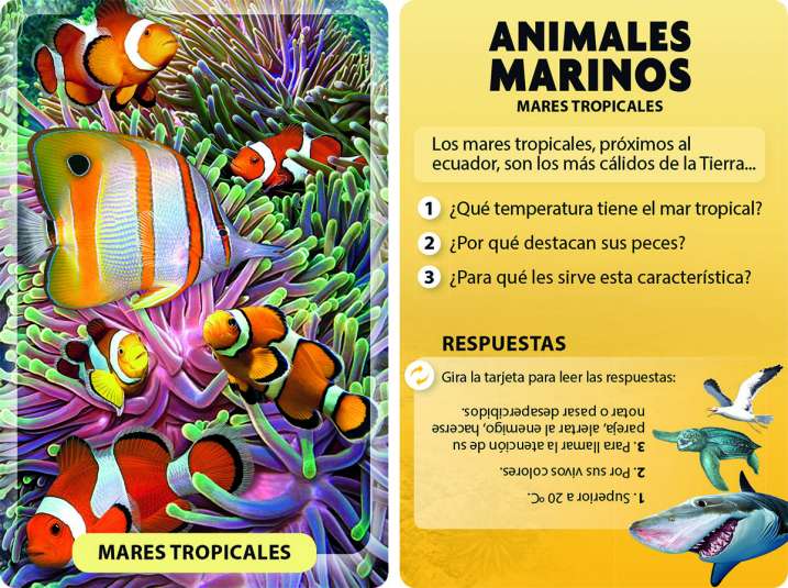 Animales marinos
