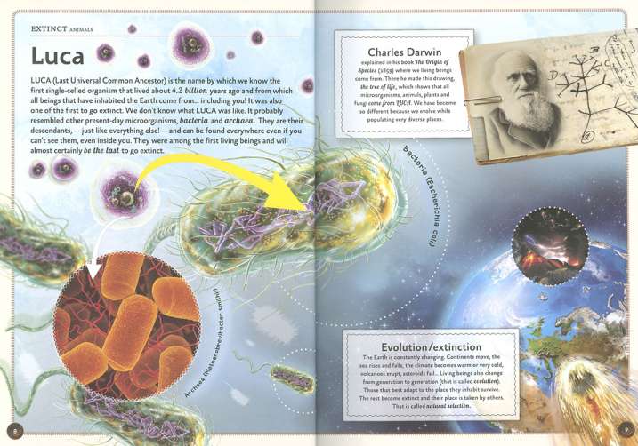 El magnífico libro de los...