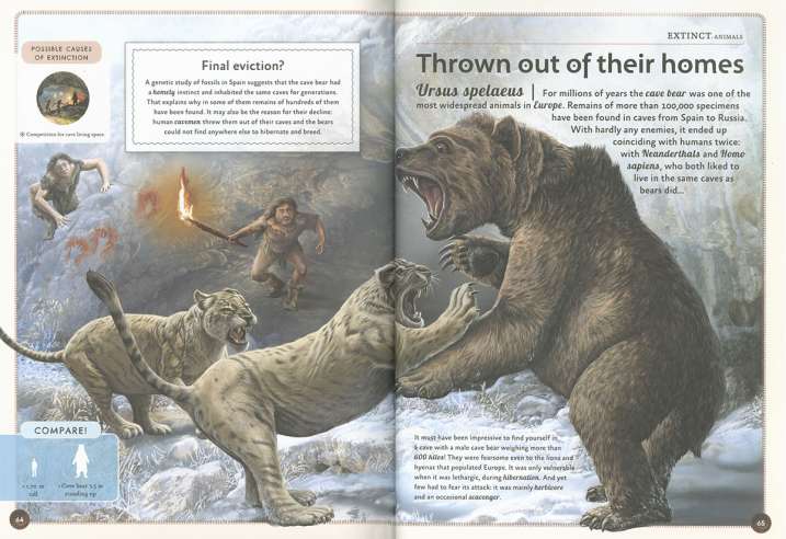 El magnífico libro de los...