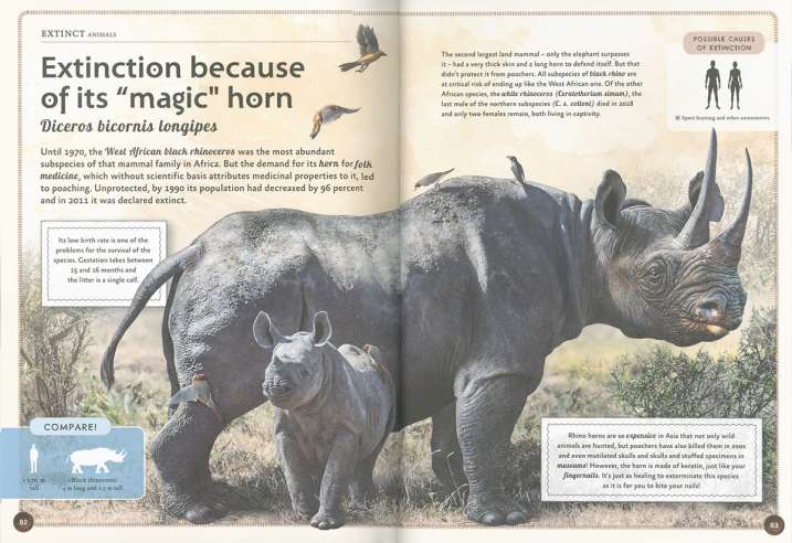 El magnífico libro de los...