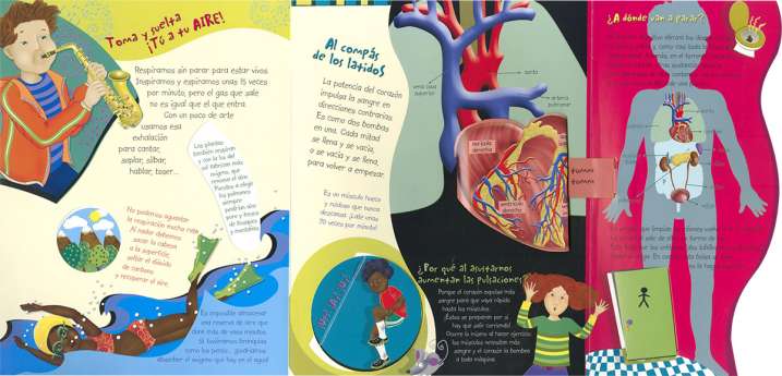 DESCUBRE EL CUERPO HUMANO