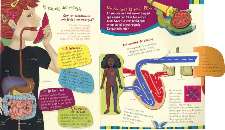 DESCOBREIX EL COS HUMA