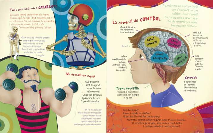 DESCOBREIX EL COS HUMA