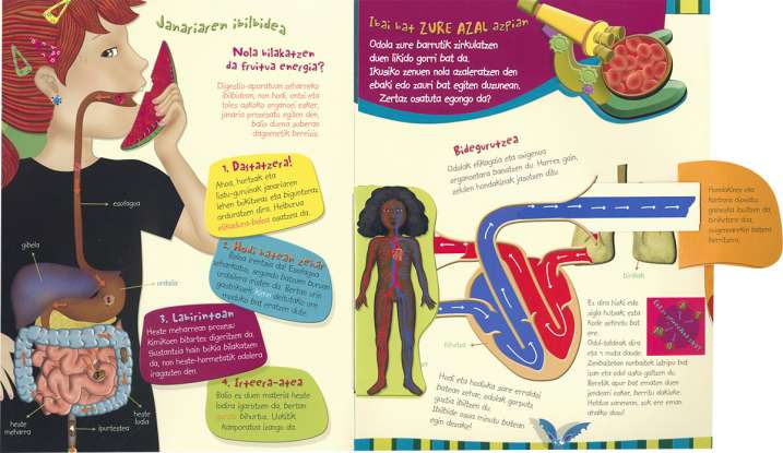 GIZA-GORPUTZA EZAGUTU