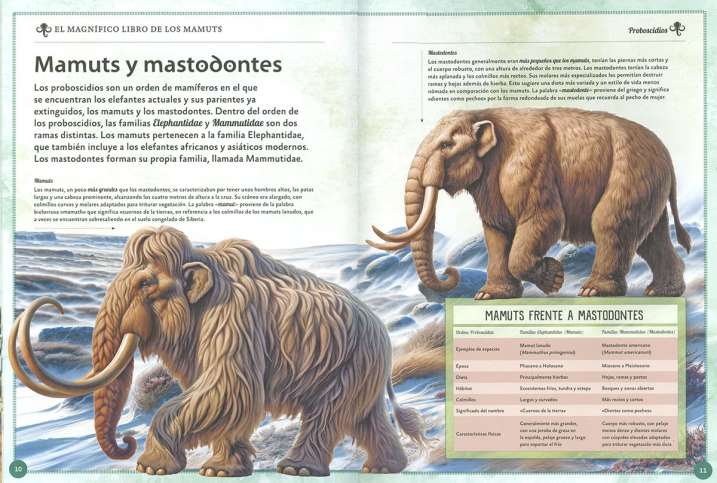 EL MAGNIFICO LIBRO DE LOS...