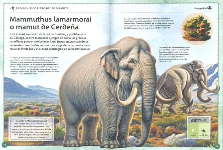 EL MAGNIFICO LIBRO DE LOS...