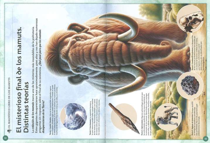 EL MAGNIFICO LIBRO DE LOS...