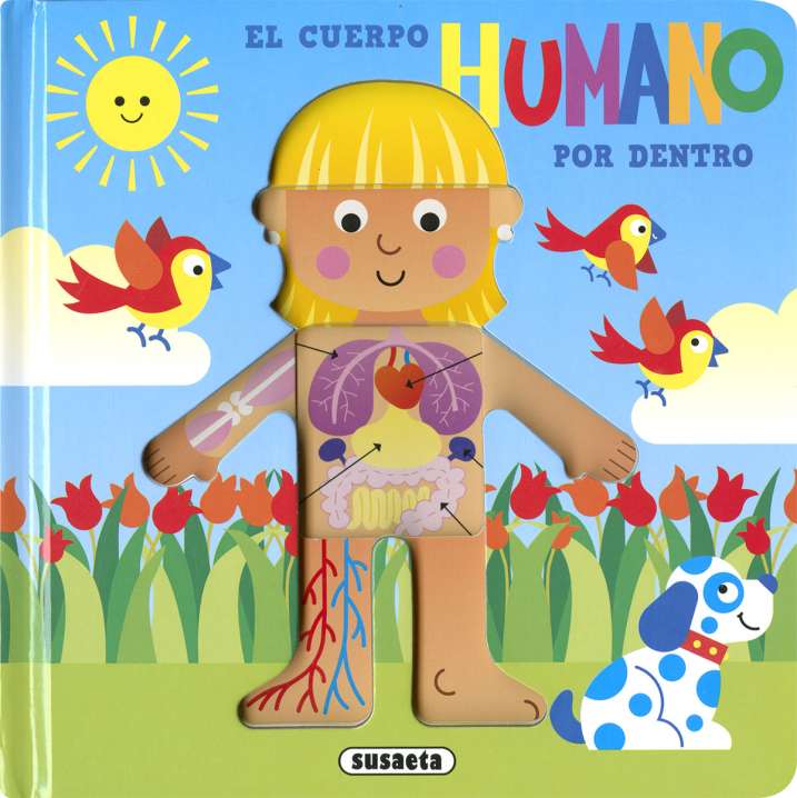 El cuerpo humano por dentro