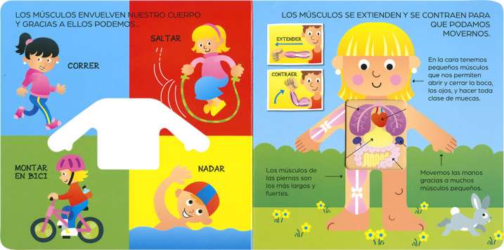 El cuerpo humano por dentro