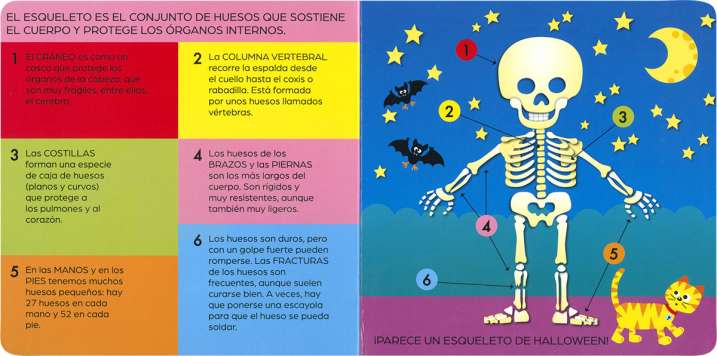 El cuerpo humano por dentro