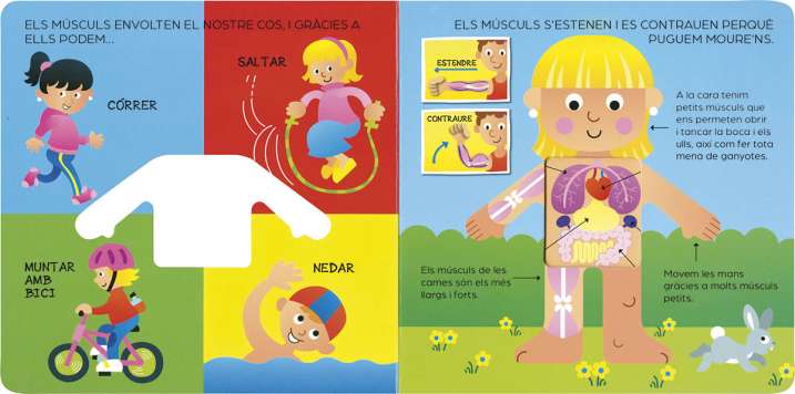 EL COS HUMÀ PER DINS