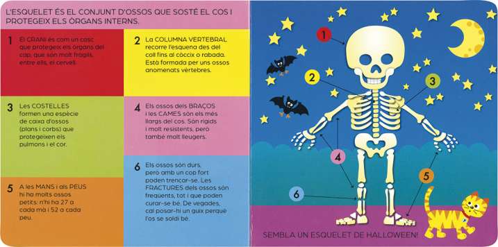 EL COS HUMÀ PER DINS