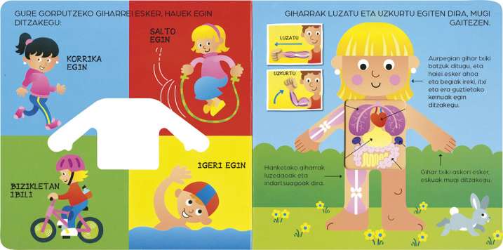 GIZA GORPUTZA BARRUTIK