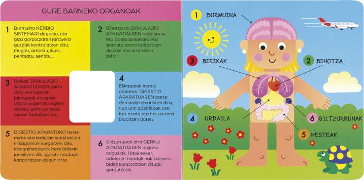 GIZA GORPUTZA BARRUTIK