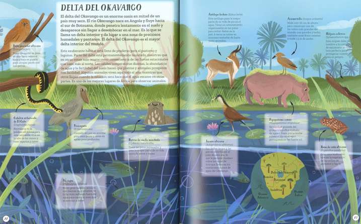 Un mundo de animales