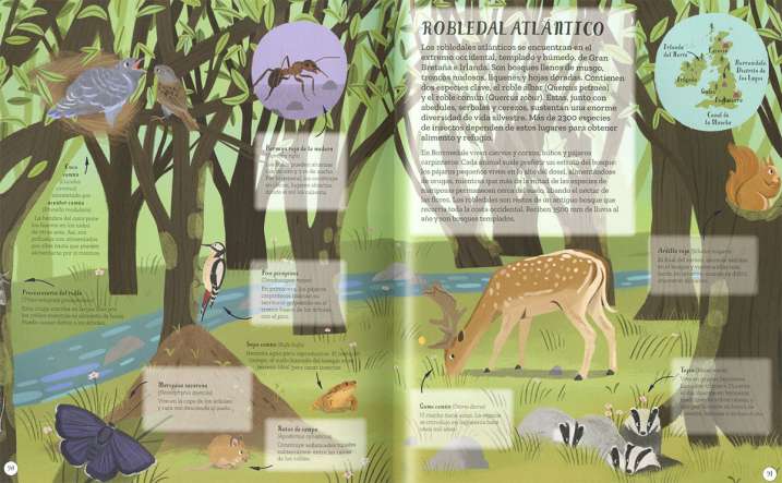 Un mundo de animales